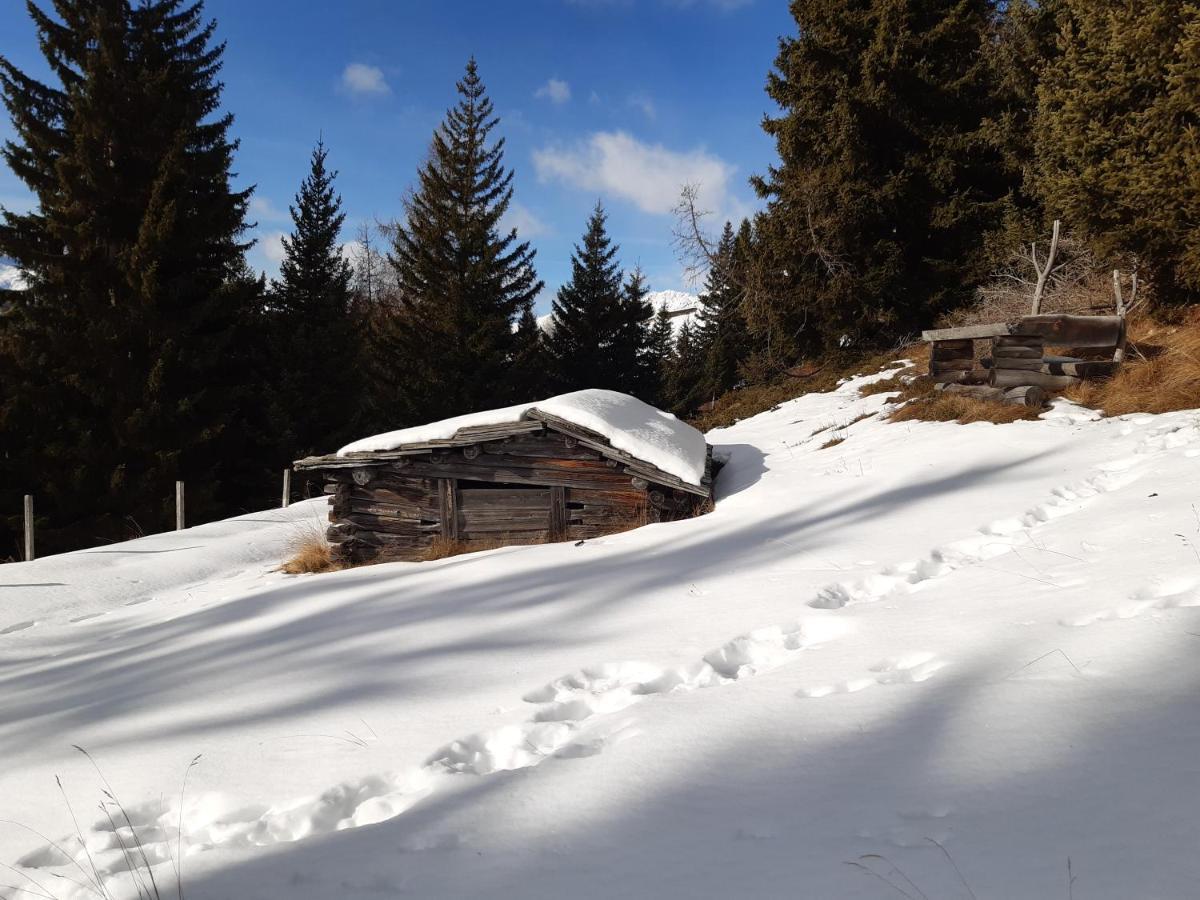 Appartement Gsaller Hopfgarten in Defereggen Luaran gambar